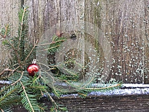 Red christmas ball hanging on a spruce branch