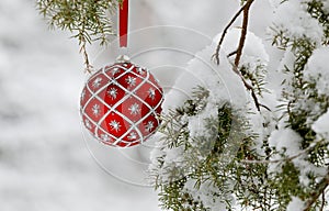 A red Christmas ball hangs on a juniper branch