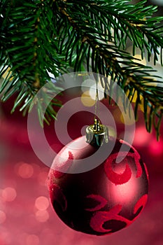 Red christmas ball with ornament on the christmas tree, close up