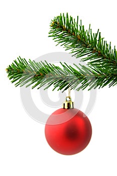 Red christmas ball on a tree