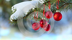Red Christmas Balls hanging on snow covered pine tree branches as decoration outdoors