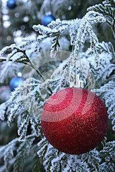 Red Christmas bauble, frosted tree