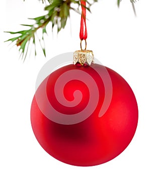 Red Christmas bauble hanging on fir tree branch Isolated on white background
