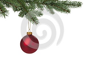 Red Christmas bauble hanging on pine tree