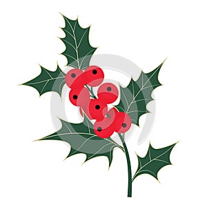 Red Christmas berry branch vector illustration