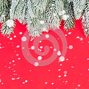 Red Christmas card background with snow and Xmas tree branch
