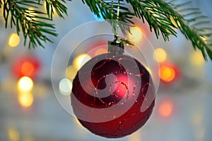 Red Christmas decor ball on green tree branch of a Christmas tree on a background of Christmas lights new year