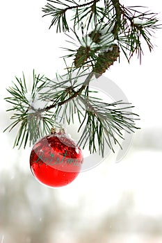 Red Christmas decoration on snow-covered pine tree outdoors