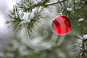 Red Christmas decoration on snow-covered pine tree outdoors