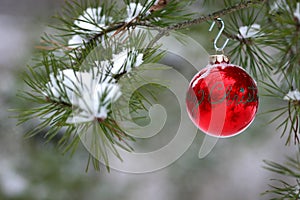 Red Christmas decoration on snow-covered pine tree outdoors