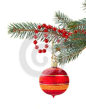 Red christmas decorations on fir tree