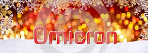 Red Christmas Lighs with Snow - Corona Omicron Banner photo
