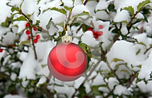 Red Christmas Ornament