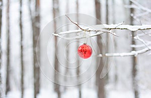 A red Christmas ornament, bauble, ball, toy on a snowy tree branch against a snowy forest. White and red winter background