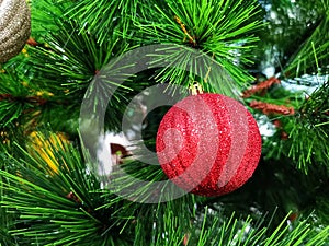 Red Christmas Ornament Decorated on Tree