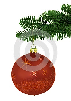 Decorazione natalizia sul nobile pino un albero ramo 