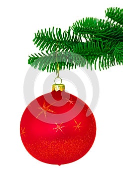 Red Christmas Ornament On Noble Pine Tree Bough
