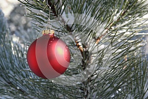 Red Christmas Ornament in Snowy Pine Tree