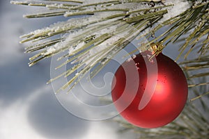 Red Christmas Ornament in Snowy Pine Tree