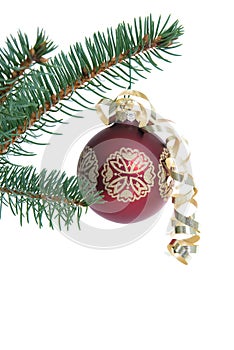 Red Christmas ornament on tree