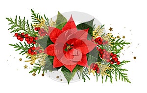 Red Christmas poinsettia flower red berries and thuya twigs in a Christmas arrangement isolated on white photo