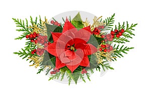 Red Christmas poinsettia flower red berries and thuya twigs in a Christmas arrangement isolated on white