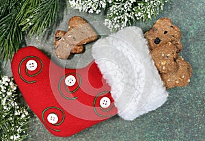 Red Christmas stocking with blueberry oat dog cookies