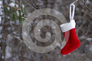 red Christmas stocking hanging in tree with copy space
