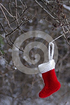 Red Christmas stocking hanging in tree with copy space