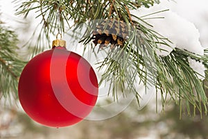 Red Christmas tree ball on a snow-covered tree branch