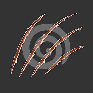 Red claws animal scratch scrape track isolated on dark background. Vector illustration, eps10. Cat tiger scratches paw