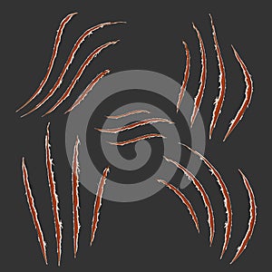 Red claws animal scratch scrape track isolated on dark background. Vector illustration, eps10. Cat tiger scratches paw