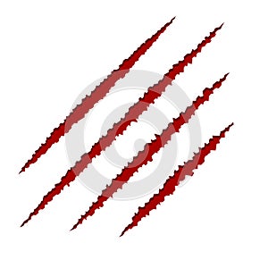 Red Claws Scratches on White Background. Vector photo