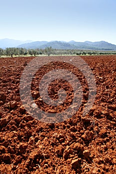 Red clay soil texture on a sunny morning