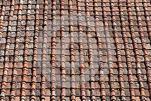 Red Clay Tile Rooftop Pattern in Florence Italy