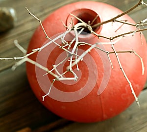 Red clay vase with dry twigs on wooden