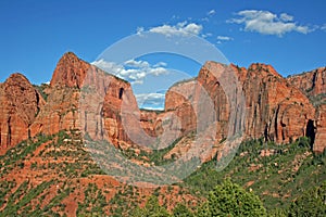 Red cliffs in Kolob Canyon