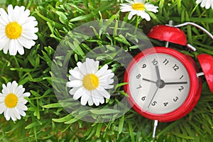 Red clock on green grass with flowers