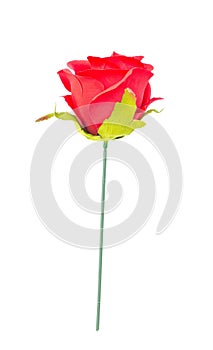 Red cloth rose.