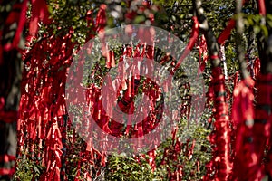 Red cloth tied on the tree to pray at tianmen mountain Zhangjiajie china