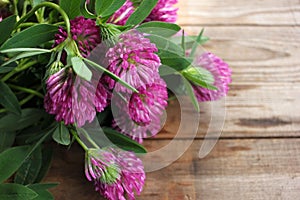 Red clover flowers bouquet on rustic wooden table. Summer floral decor and medicinal plants