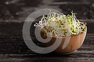 Red Clover Sprouts in a Wooden bowl