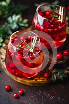 Red cockatil with ice, cranberry and rosemary on the dark background photo