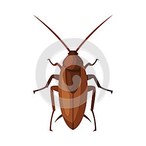 Red Cockroach Insect, Pest Control and Extermination Concept Vector Illustration on White Background