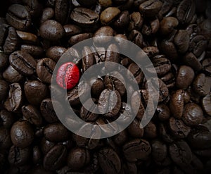 Red coffee bean standing out from the others, be different, stand out, be original