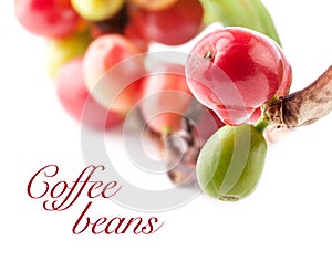 Red coffee beans