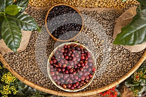 Red coffee beans and Assorted beans in bowls on wood background