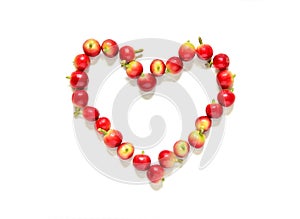 Red coffee beans berries in heart shape.