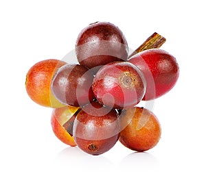 Red coffee beans on a branch of coffee tree on white background