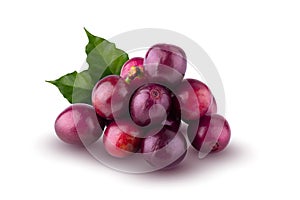 Red coffee beans isolated on a white background